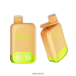 VapSolo Buy - VapSolo TWINS Disposable Vape 0R86229 Lemone Lime & Watermelon Ice