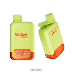 VapSolo Buy - VapSolo TWINS Disposable Vape 0R86234 Watermelon Ice & Mixed Berry