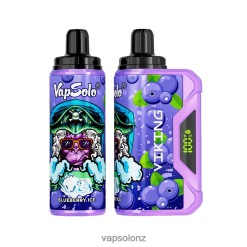 VapSolo NZ - VapSolo VIKING Disposable Vape 0R86236 Blueberry
