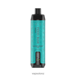 VapSolo Wellington - VapSolo SHISHA Disposable Vape 0R8622 Blackcurrant Ice